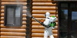 Все о фумигации деревянных домов с помощью фосфина против жуков-короедов