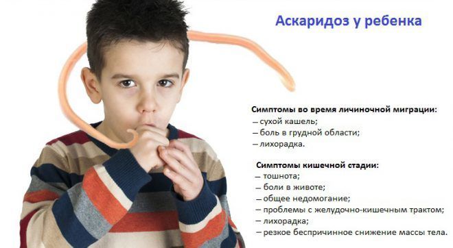 Аскаридоз симптомы у детей