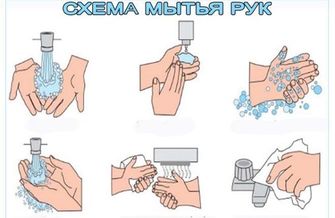 Правильное мытье рук поможет вам избежать заражение паразитами