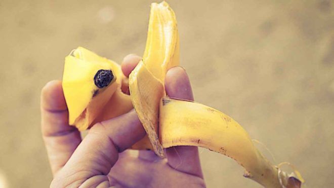 Протирать место укуса банановой кожурой